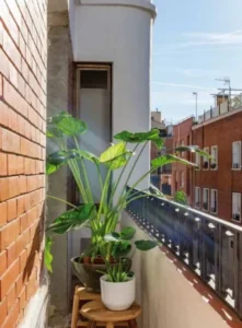 Balcon