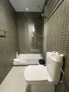 Ducha
